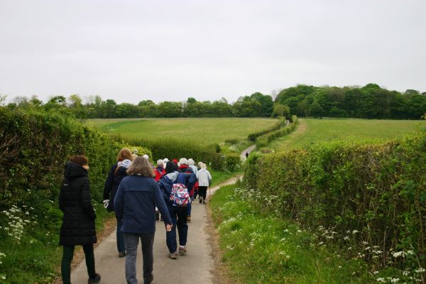 Walking along a country lane